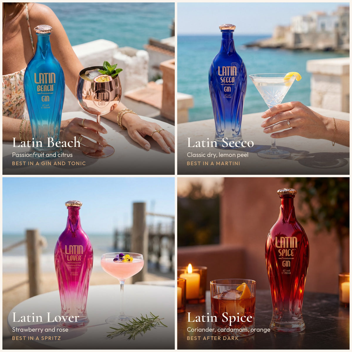 The four gins and how to drink them: Beach in a gin and tonic, Secco in a martini, Lover in a spritz, Spice after dark